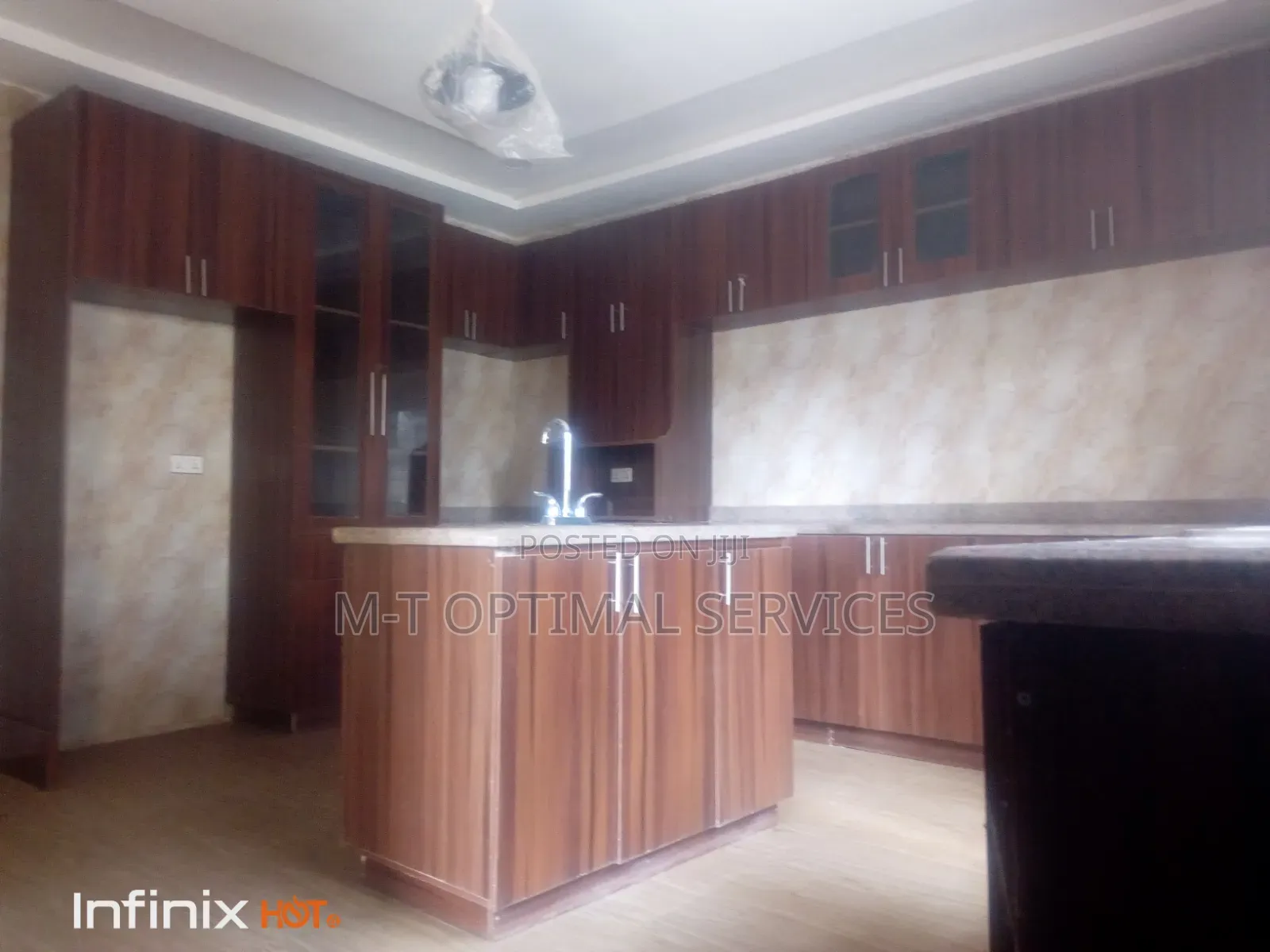 Professional Cleaning Services