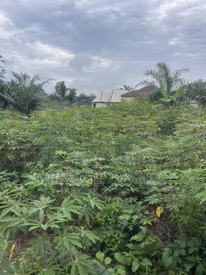I Plot of Land for Sale