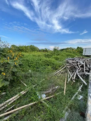 1200sqm Land for Sale — Alabeko, Ajah Off Lekki Epe Expressway