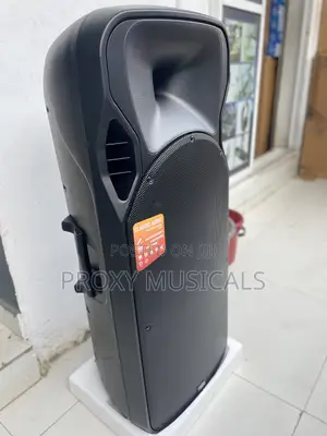 Classic Audio Double 15inches PA System