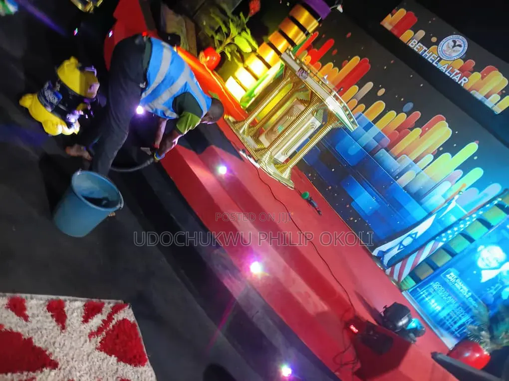 Professional Carpet and Rug Cleaning