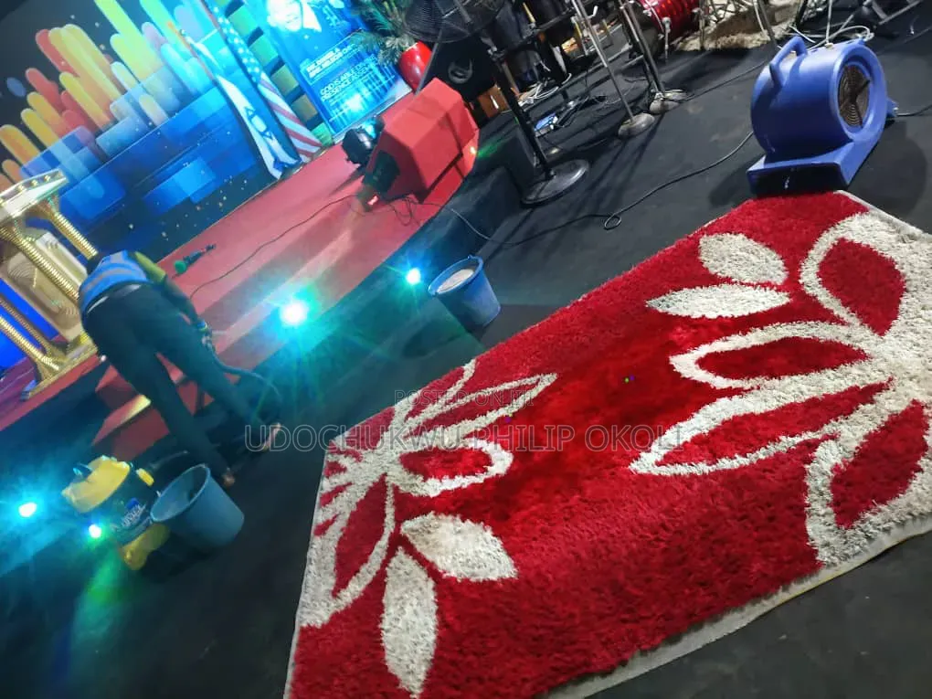 Professional Carpet and Rug Cleaning