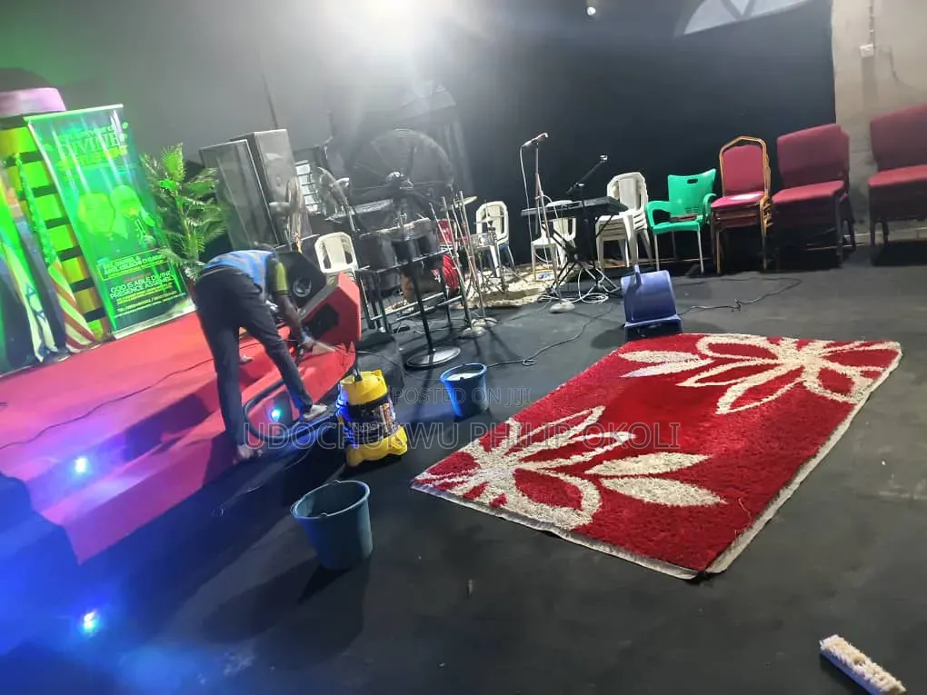 Professional Carpet and Rug Cleaning