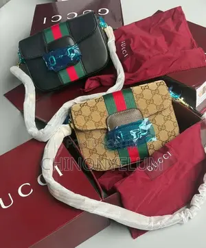 Luxury Women’s Handbag