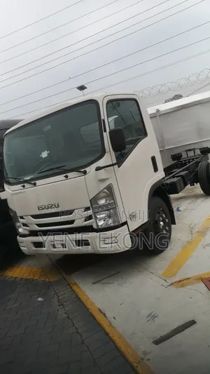Isuzu Truck for Sale