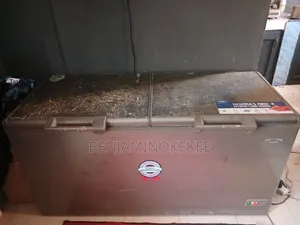 Thernocool Inverter Freezer 519L