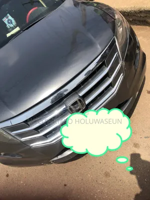Honda Accord Crosstour 2010 Gray