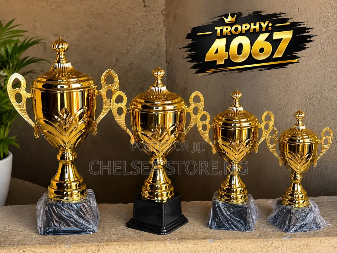 Trophy CupF010