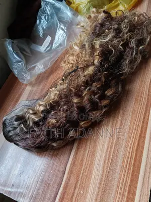Human Hair Wig