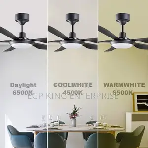 Imported Luxury Dc Ceiling Fan 56/42 Inch