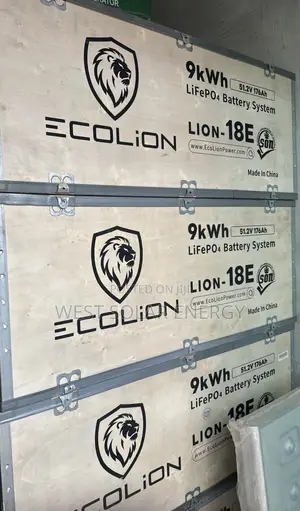 9Kwh 51.2v EcoLion Lithium Ion Battery