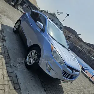 Hyundai Tucson 2013 Blue