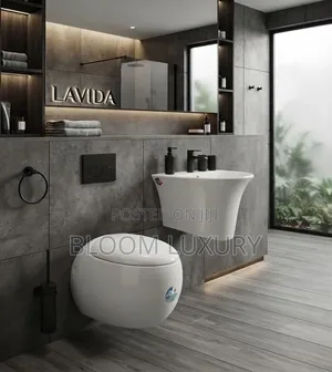 Egg Shaped Conceal Toilet Available