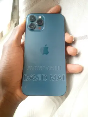 Apple iPhone 12 Pro Max 256 GB Blue