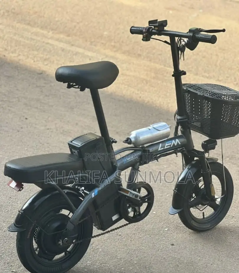 Electric Bike