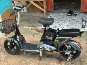 Electric Bike