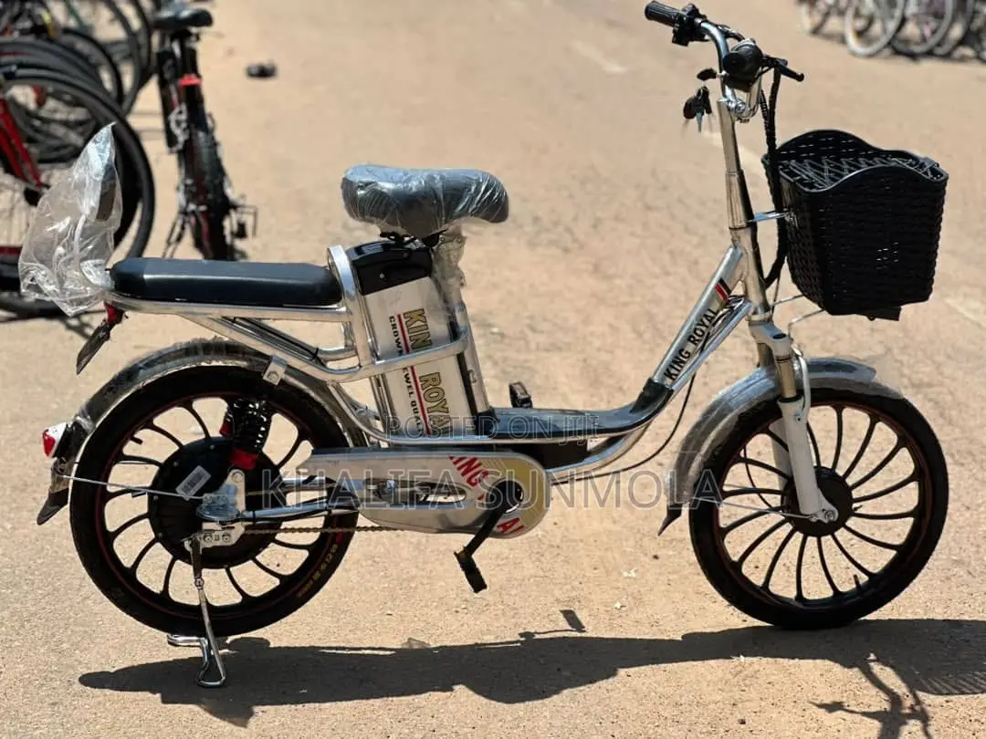 Electric Bike