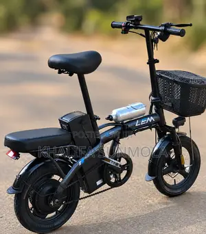 Electric Bike