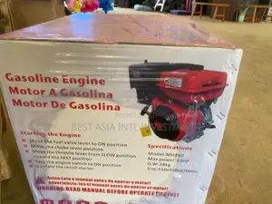 Gasoline Engine