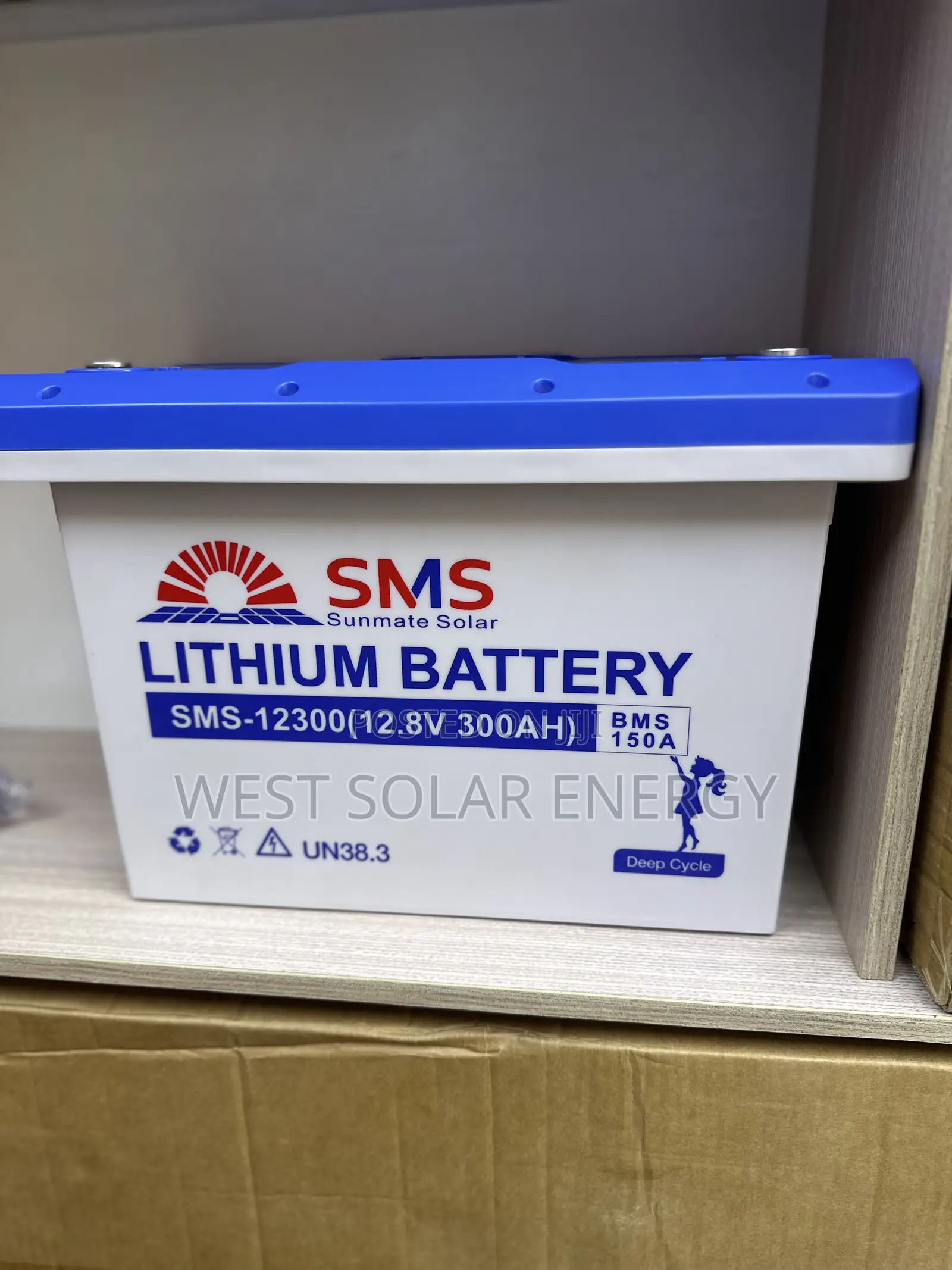 300Ah 12v SMS Lithium Ion Battery