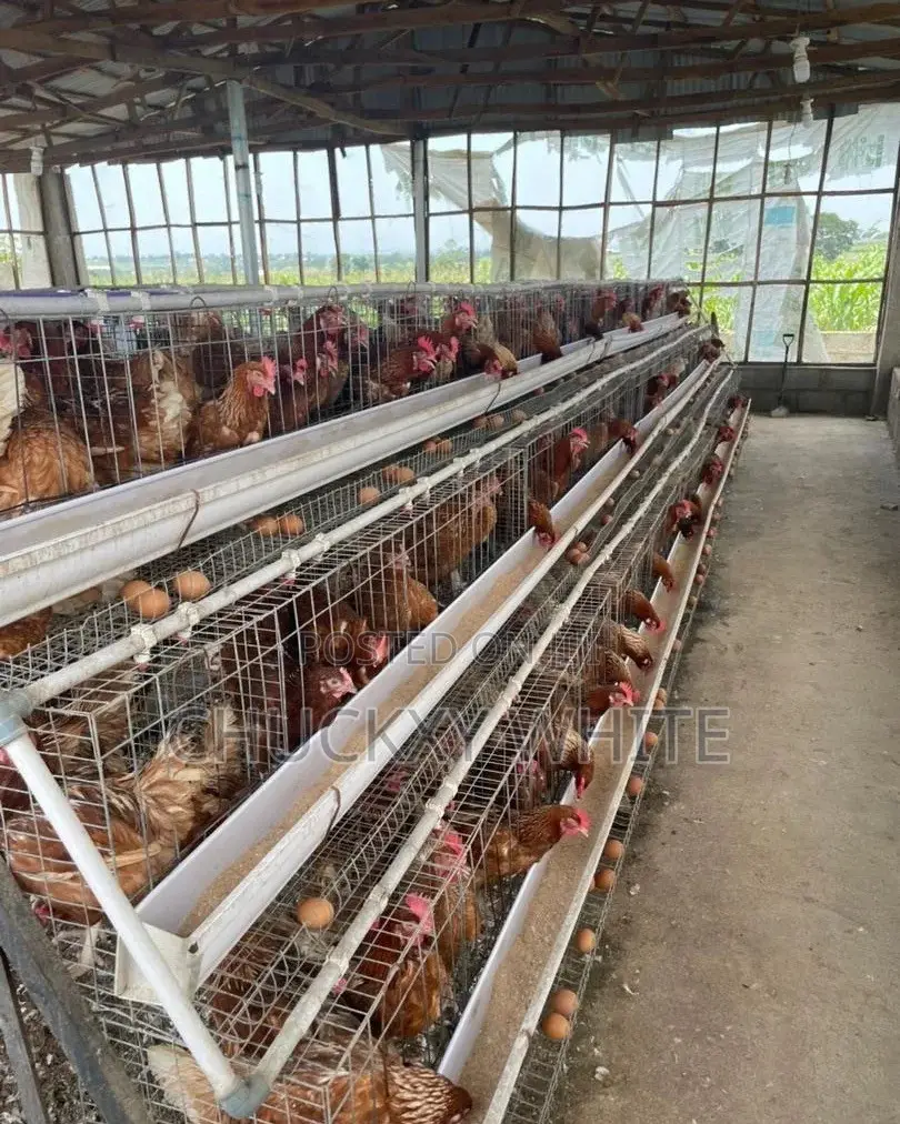 Farm Worker Needed