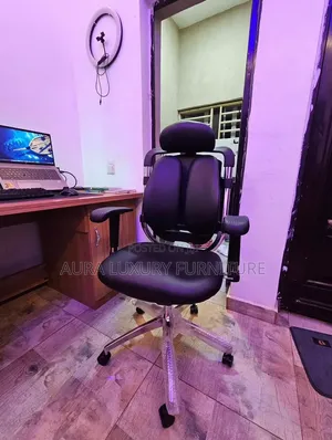 Office Chair (Kidney Shape)