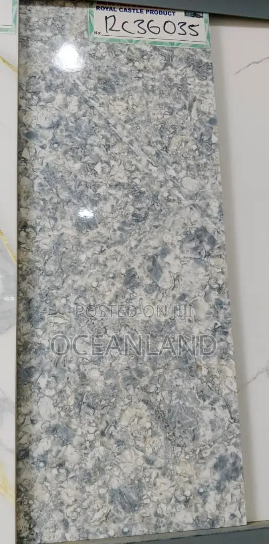 Toilet Wall Tiles