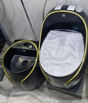 Luxury England WC With Luxury Basin