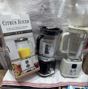 Citrus Juicer