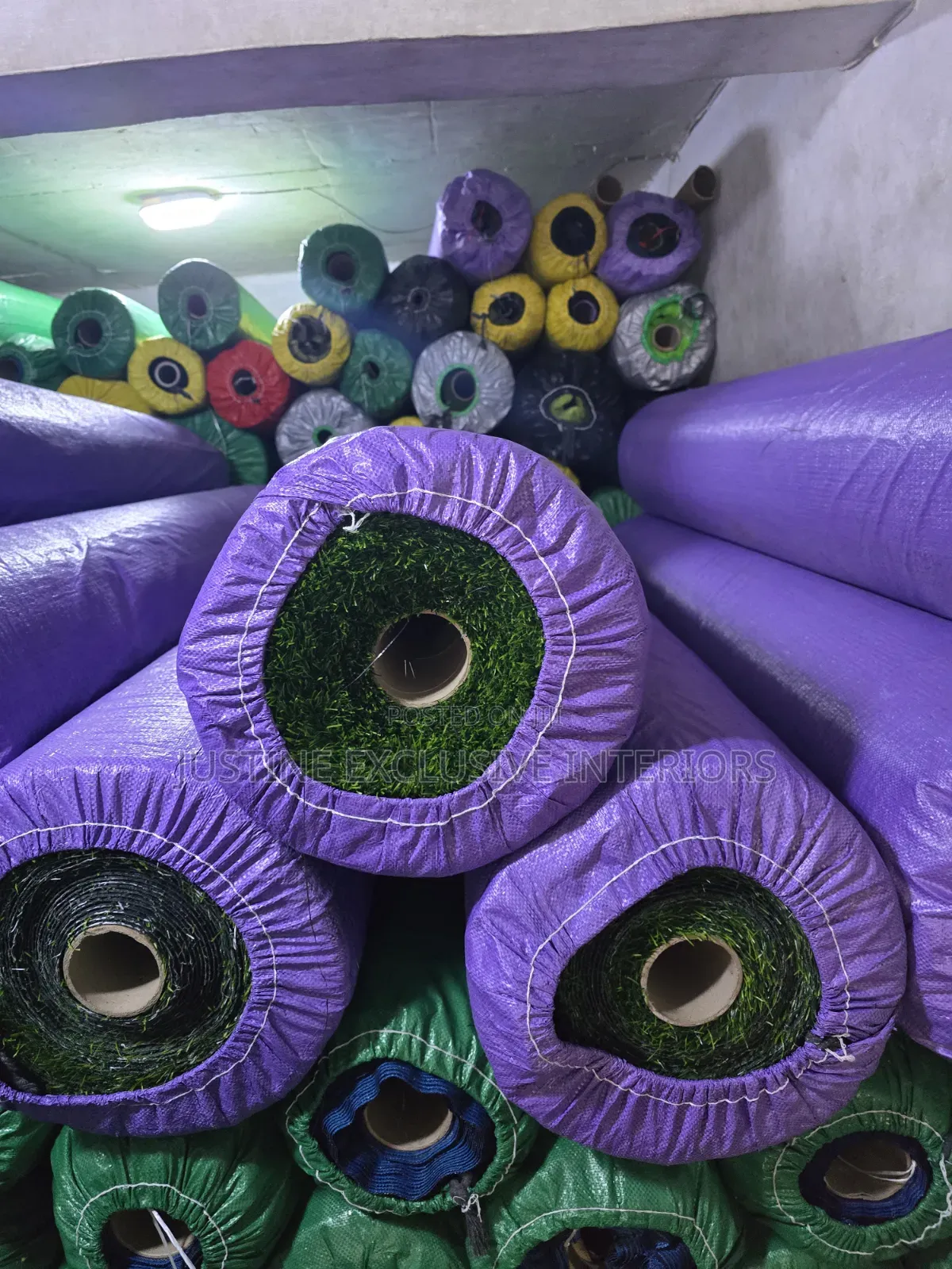 Green Carpet Grass