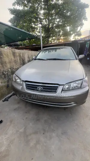 Toyota Camry 2002 Gray