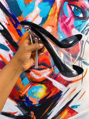 Elegant Black Clear-Heel