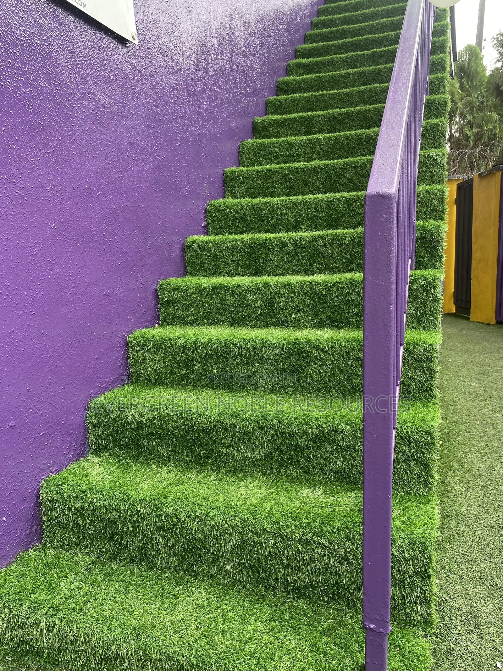 Artificial Grass