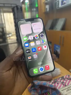 Apple iPhone 13 Pro Max 256 GB Green