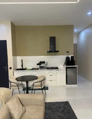 Modern and Spacious Studio Apartment in Ikeja