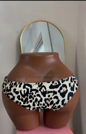 Ladies Pants