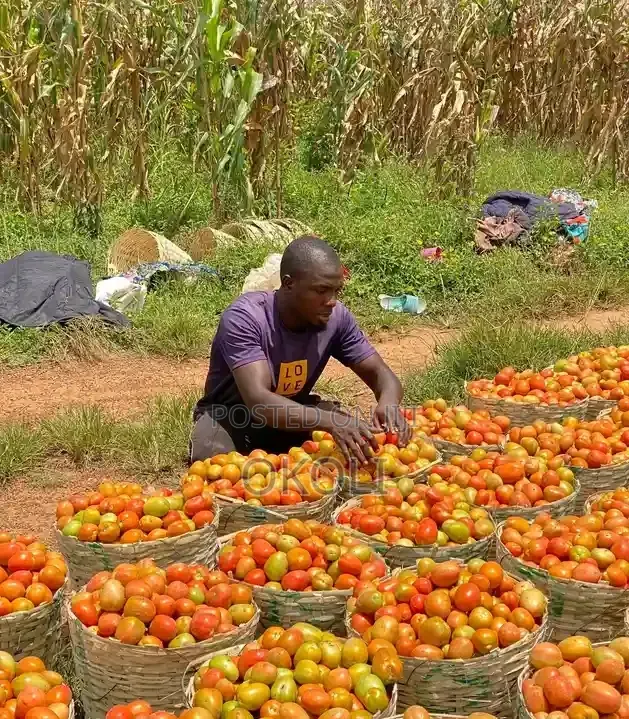Foodstuffs
