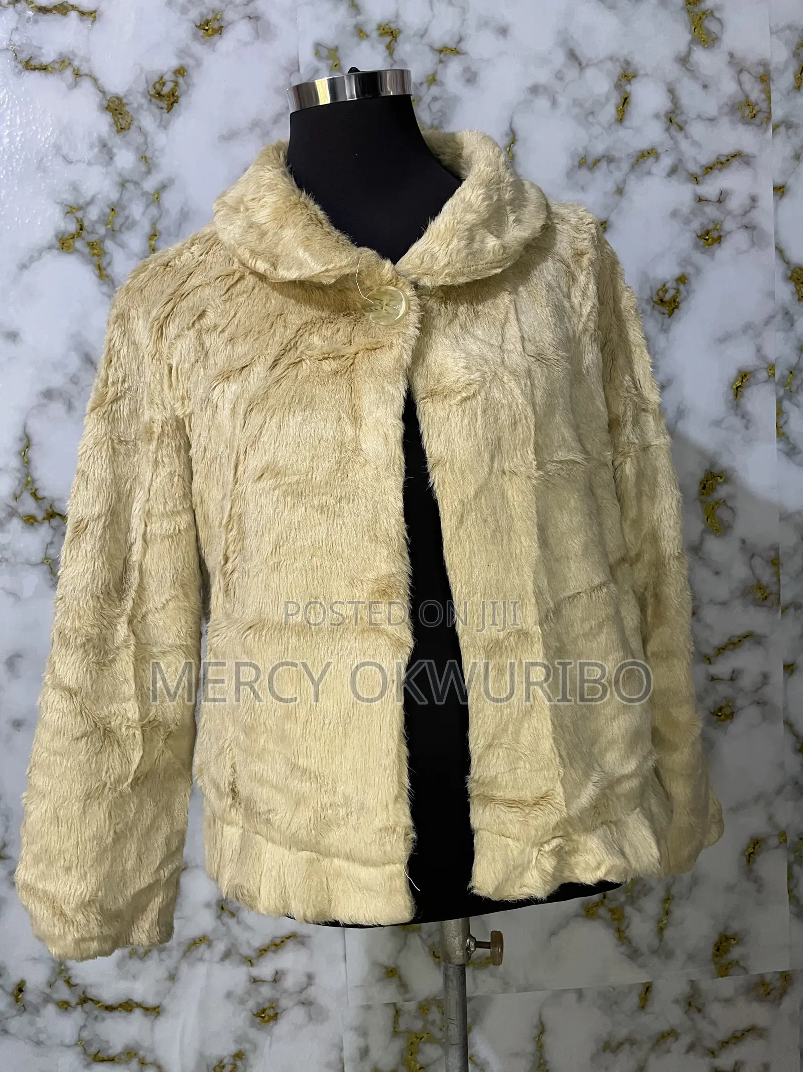 Winter Jacket, Coat and Fur