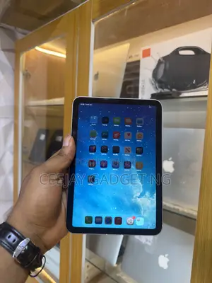 Apple iPad mini 6 256 GB