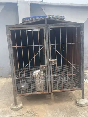 Strong and Durable Dog Cage