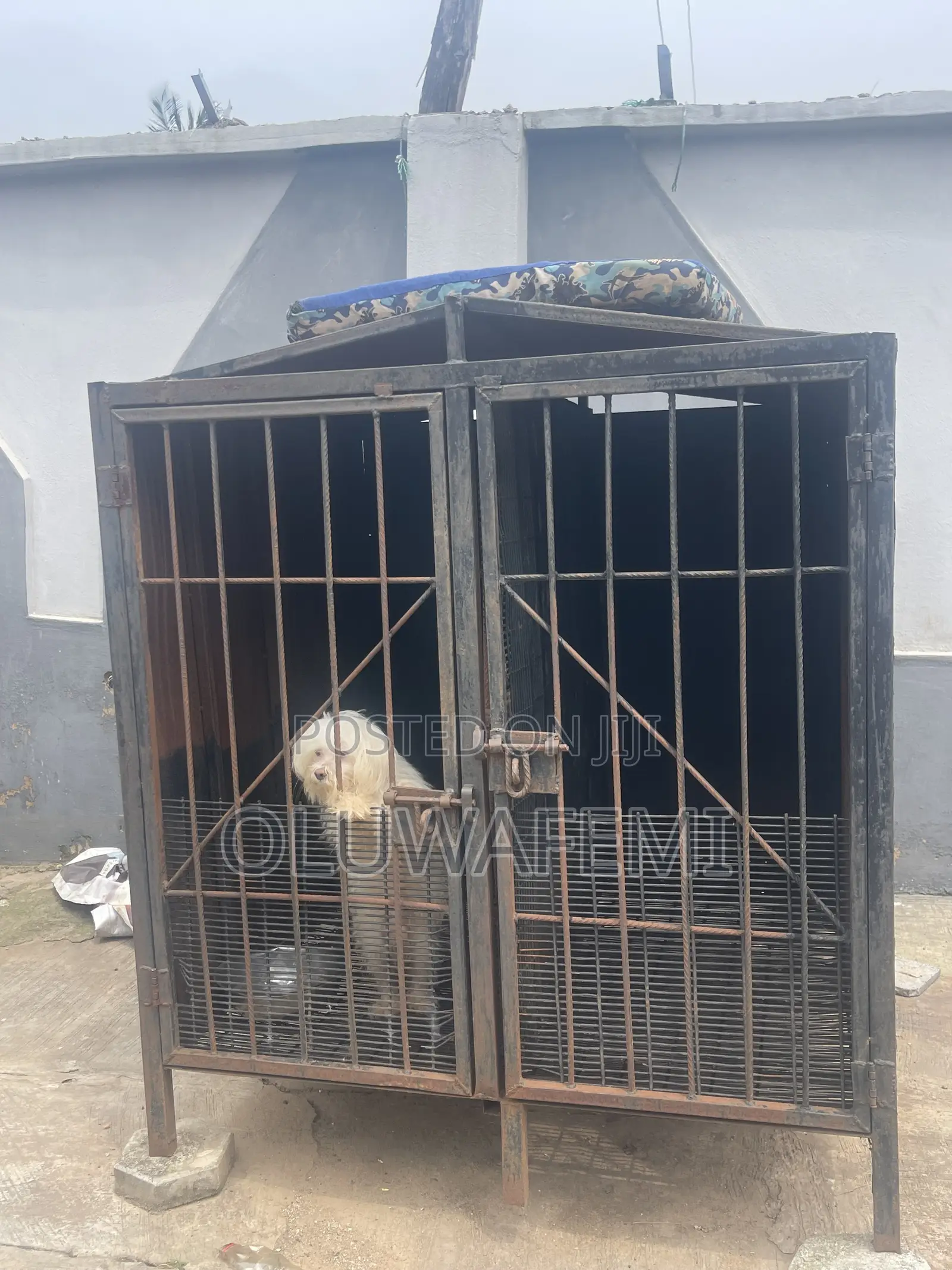Strong and Durable Dog Cage