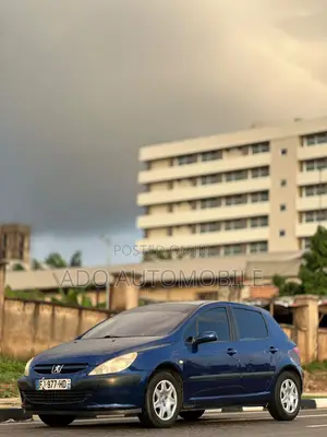 Peugeot 307 2006 Blue