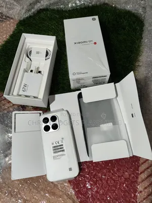 Xiaomi 17T 256 GB Gray