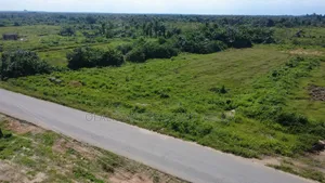 Commercial Drone Piloting