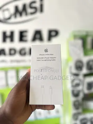 Original iPhone Charger