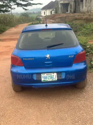 Peugeot 307 2003 Blue