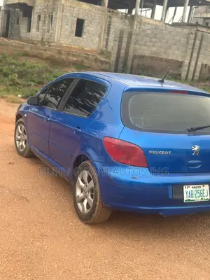Peugeot 307 2003 Blue