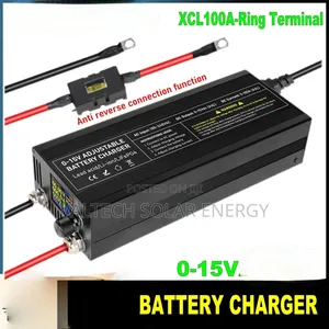 0v - 15v 60a/80a/100a Adjustable Battery Charger