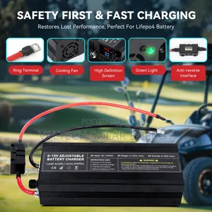 0v - 15v 60a/80a/100a Adjustable Battery Charger