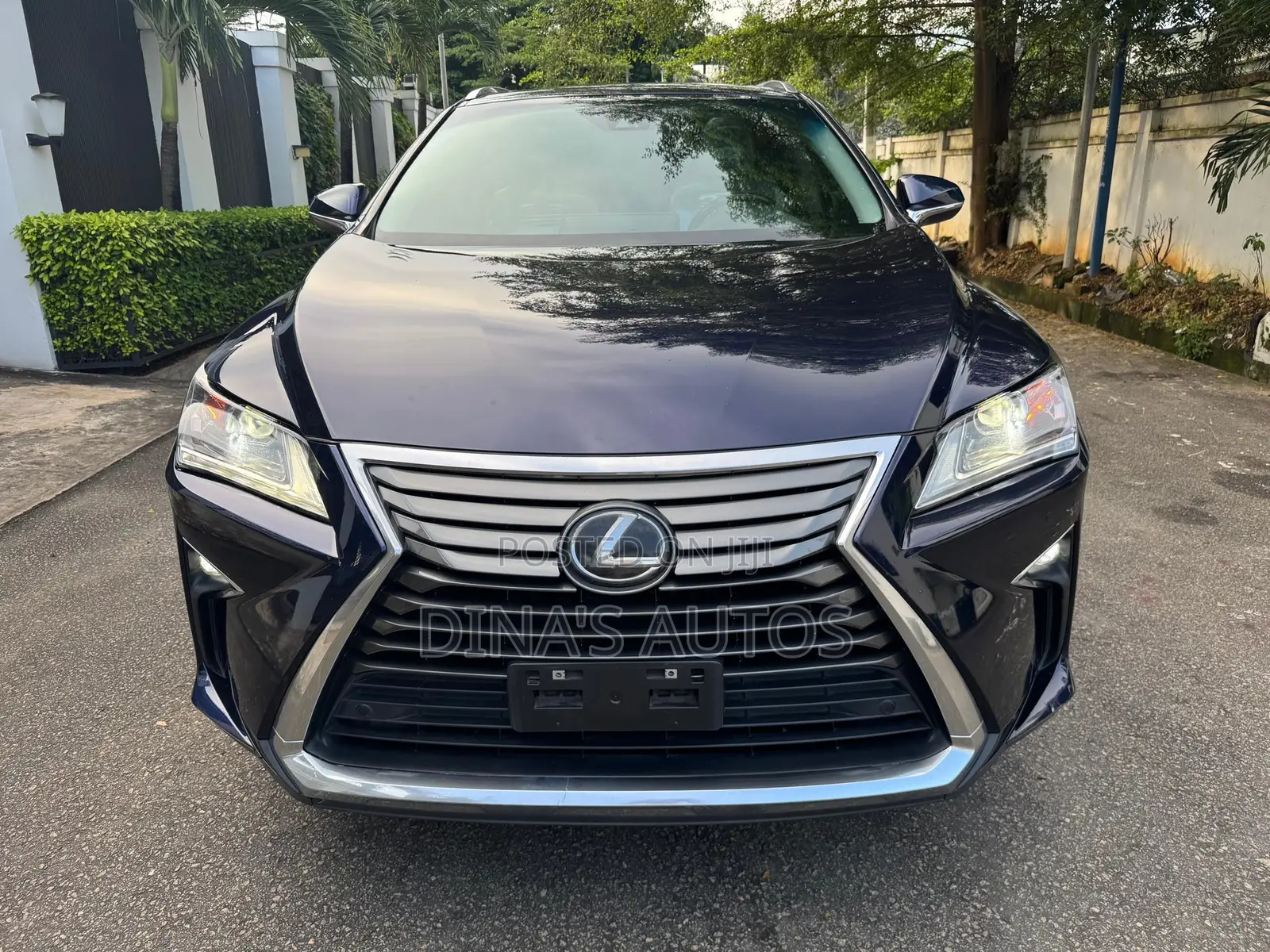 Lexus RX 2018 Blue